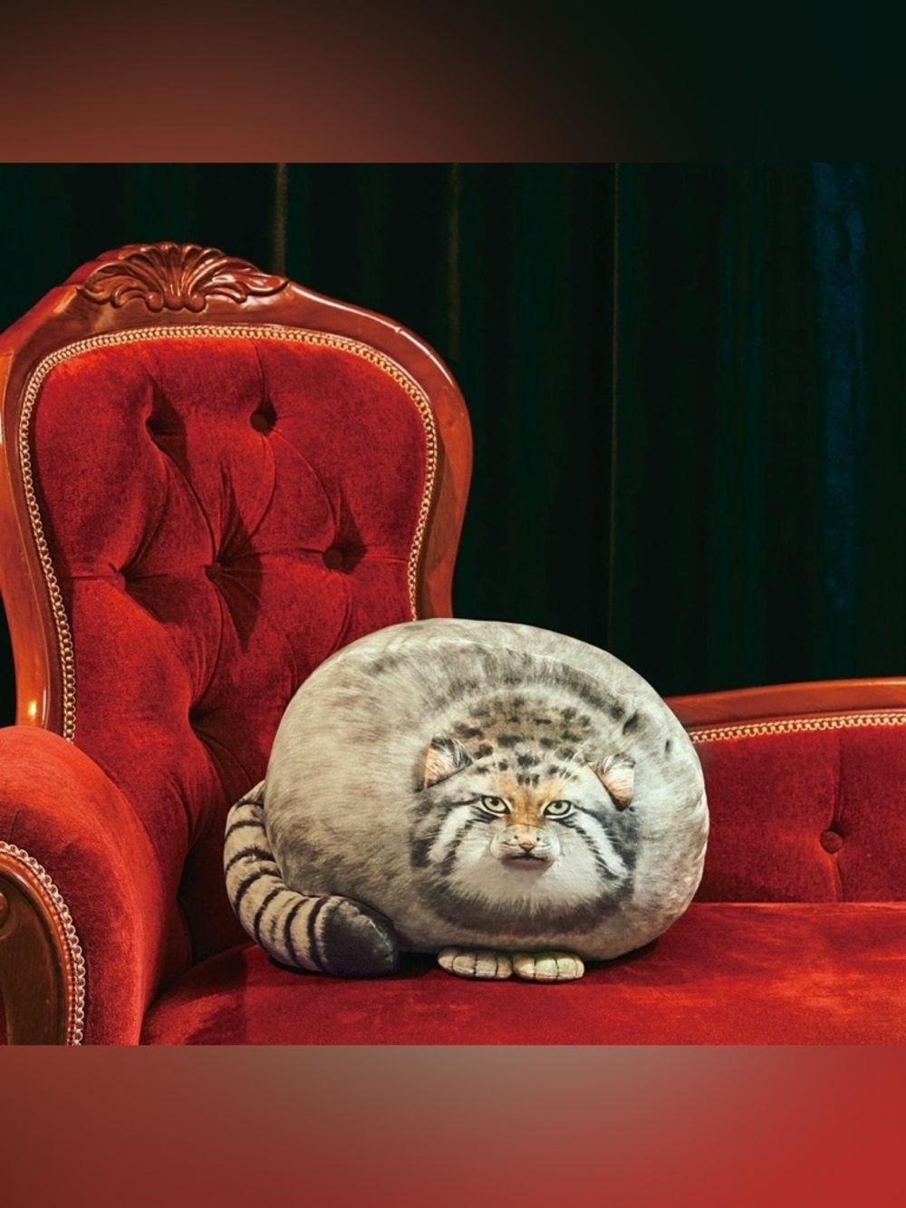 Creepy or Cute? STUFFED animal CAT Kitten Kitty PLUSHIE Pillow Funny Gift Idea